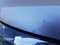 фото thumb №6, Kia sportage iii капот крышка двигателя 9s оригинал