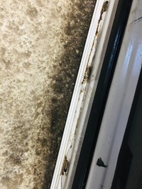 фото thumb №9, Двері праве передні повний efcd efc c4 cactus #165