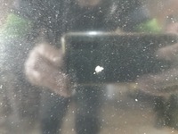 фото thumb №6, Audi a3 8p lift 08/12 капот крышка крышка багажника перед ly9b