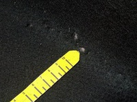 фото thumb №7, Opel meriva b обшивка ниша багажника 13285976