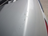 фото thumb №12, Bmw 2 f22 бампер задний задняя pdc glacier silber