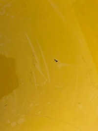 фото thumb №3, Ford transit custom двері зсувні ліві