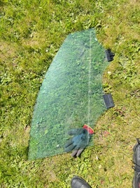 фото thumb №1, Kia niro ii 2 стекло боковая дверь перед передняя правая