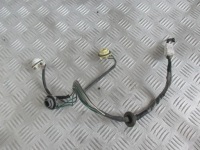 фото thumb №1, Вкладыш лампы задняя hyundai santa fe 00-04