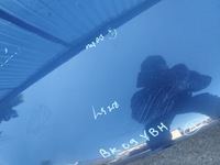 фото thumb №8, Капот крышка honda cr-v crv iii lata 2006-2009 цвет nh684p