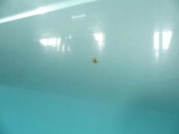 фото thumb №9, Двері перед ліві nissan micra k10 3d блакитний