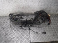 фото thumb №1, Жгут электрическая audi a4 b6 2.0 fsi