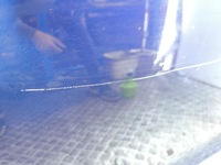 фото thumb №7, Audi q7 4l 2008 правая сторона дверь задние