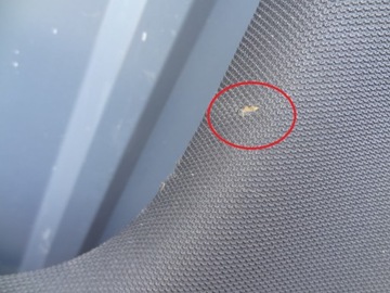 фото thumb №5, Стеля стеля панорама audi a6 s6 rs6 allroad c7 4g9