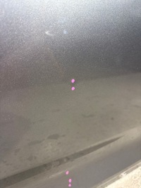 фото thumb №6, Дверь передние правое volkswagen passat b8