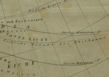 1835r. Stara Mapa roślinności Europy 42x32 cm