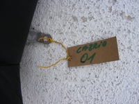 фото thumb №6, Bmw e46 cabrio кожа заднее сиденье спинка czarna ładna