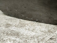 фото thumb №5, Крышка багажника задняя крышка багажника mazda ii 2 dl 15-