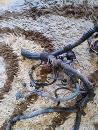 фото thumb №6, Жгут двигателя opel zafira a 2.2 дизель