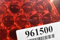 фото thumb №15, Лампа ліва задня задня 92401-1h0 kia ceed 1 i 5d hb 07-10