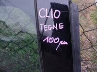 фото thumb №5, Renault clio iv 4 дверь правый задняя tegne hb