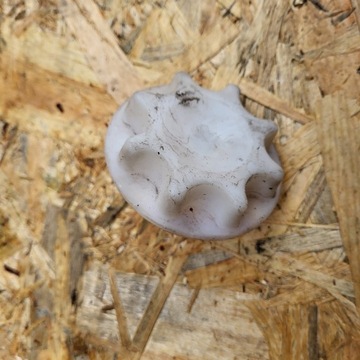 фото thumb №1, Toyota yaris 1 i 99-05 рестайлинг крепление колёса запасного