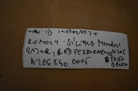 фото thumb №3, Ідеальна установка камери двигуна mercedes w206 радар led performance 1