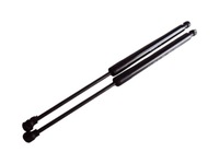 фото thumb №1, Амортизатори кришки renault clio iv hb