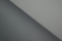 фото thumb №13, Дверь левый задняя opel corsa e z40r