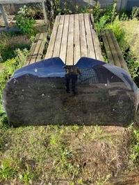 фото thumb №1, Капот крышка двигателя renault captur lift идеальное состояние