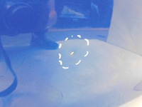 фото thumb №6, Audi a6 c7 4g s6 rs6 дверь правое задняя kombi ly5q