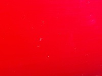 фото thumb №6, Дверь полный правый перед alfa romeo 159 i kombi