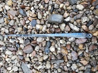 фото thumb №1, W203 kombi дворник задняя рычаг щетка