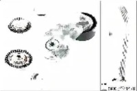 Купить Набор ремень клиновой многоручейковый 529 0211 10, фото thumb