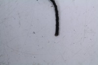 14822713879 Доставка, фото thumb