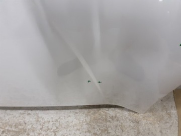 фото thumb №7, Капот ford edge ii mk2 рестайлінг 2019-