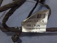 фото thumb №4, S w222 джгут передніх лівих двері 2225407919