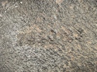 фото thumb №5, Суппорт правый перед honda cr-v iii 2.0 150km suv