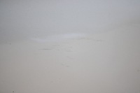 фото thumb №7, Дверь левый задняя kia sorento ii 3d