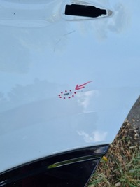 фото thumb №10, Kia sportage 5 v 2021- дверь левая задние зад левый