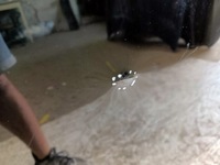 фото thumb №5, Капот крышка двигателя bmw x1 u11 22-