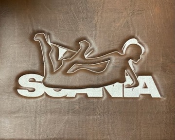 ГЛАДКИЕ КОВРИКИ SCANIA R ПОСЛЕ 2017 ГОДА + 1 БОЛЬШАЯ ВЫШИВКА