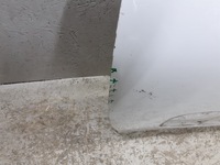 фото thumb №5, Двері передні перед ліва citroen c3 iii 2016-