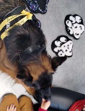 DOGOTERAPIA – ŚCIEŻKA SENSORYCZNA, STOPY, ŚLAD PSA