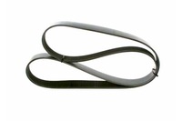 фото thumb №4, Ремень клиновой rvi magnum volvo fh fh ii d13a400-dxi13 09.05- bosch