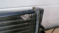 Купить Iveco daily 3 2009r 3.0d радиатор воды интеркулер, фото thumb