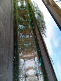 фото thumb №5, Двері зад правий mercedes glc w253 оригінал.