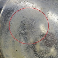 фото thumb №7, Ford transit 2012 світло протитуманні передні