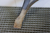 фото thumb №6, Крила лівий перед передній audi a3 8l lift lz9w