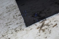 фото thumb №12, Двері правий перед citroen c4 ii b7 ktvd