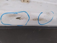 фото thumb №6, Renault trafic iii 3 двері правий задня задні furtki