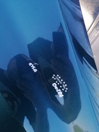 фото thumb №7, Крыло правый перед opel zafira b ii z21u оригинал