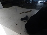 фото thumb №13, Двері лівий задня ліва задні skoda superb iii sedan lf9r