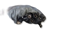 Дроти джгут свічка розжарювання fiat bravo ii stilo 1.9 m-jet 00551898130 Зі Шроту, фото thumb