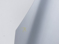 Капот кришка двигуна код лакофарбового покриття ted69 renault scenic 3 09-11r. 09r. Доставка, фото thumb